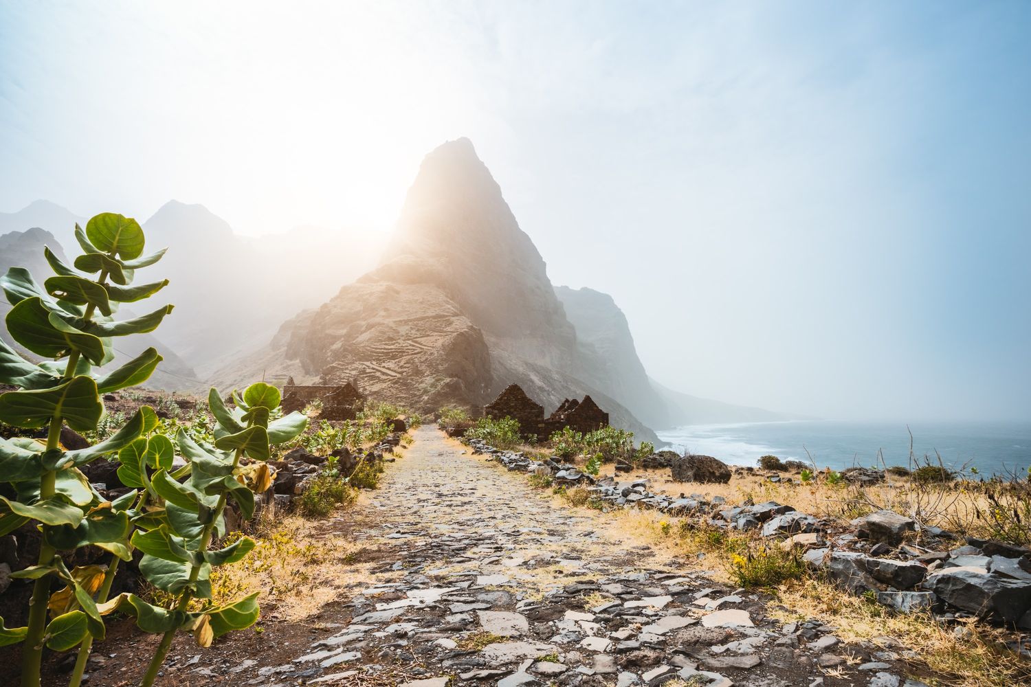 Streamlining Travel for Your Team: A Guide to Efficient Business Travel Management